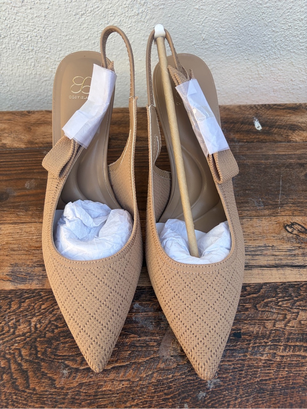 Classic Pointed Slingback Heels in Nude